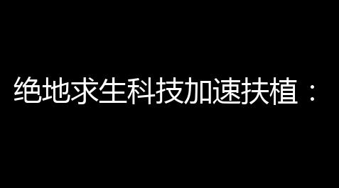 绝地求生科技加速扶植 ：晋升你的游戏体验，更快达成目标_《黑神话悟空》dlc