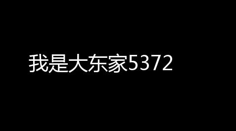 我是大东家5372